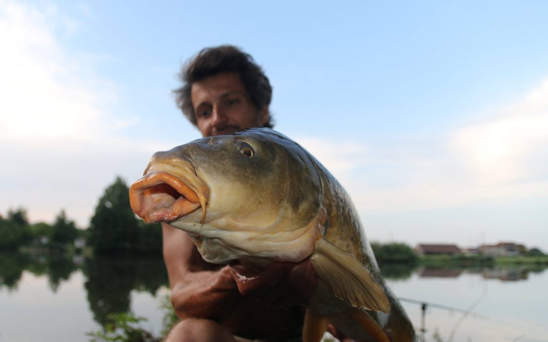 Geen aquariumvissen maar wilde rivier schubs.